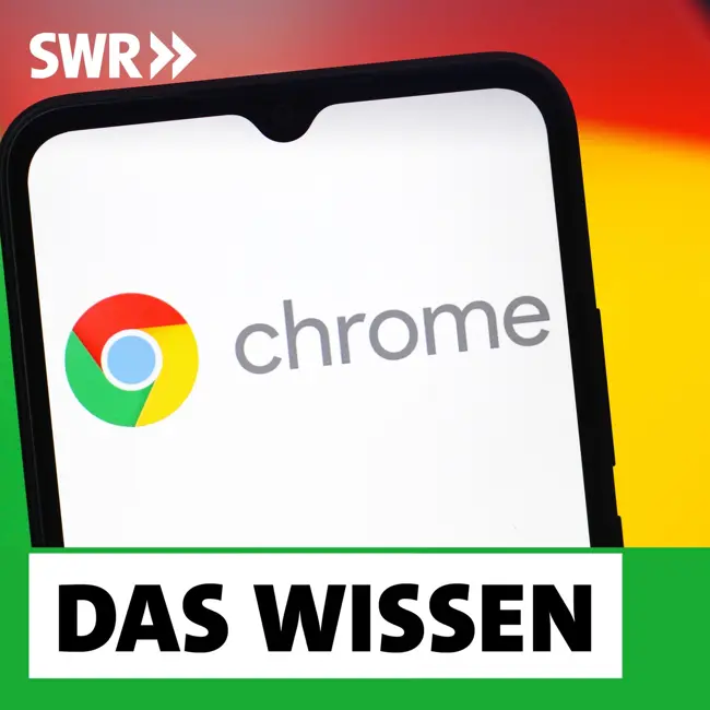 Glück für Google ‒ Warum der Tech-Riese nicht zerschlagen wird