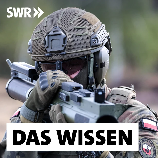 Polen rüstet auf – Auf dem Weg zur stärksten Armee der EU