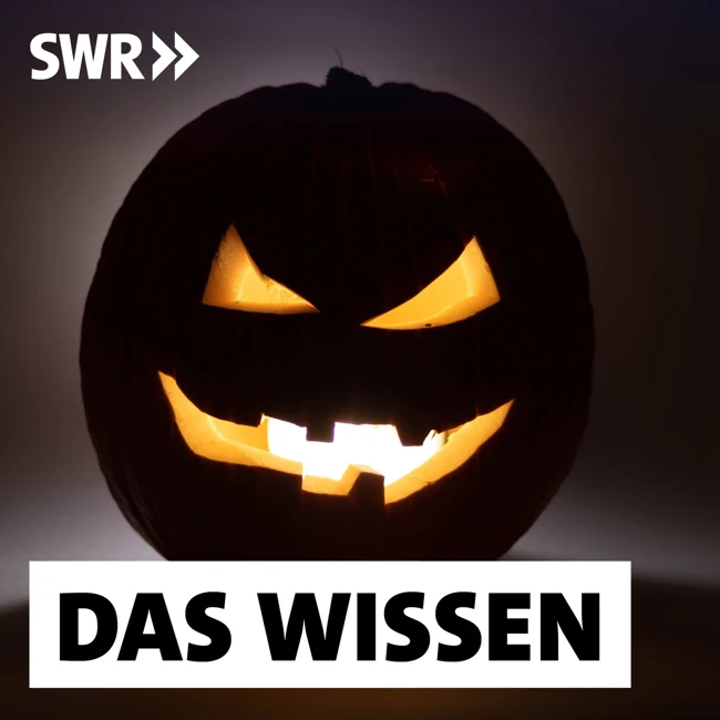 Horror, Thriller, True Crime – Warum wir uns gerne gruseln