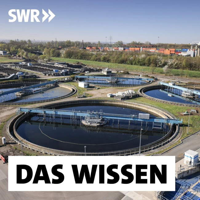 Kläranlagen und Kanalnetz – Wie unser Abwassersystem erneuert wird (2/2)