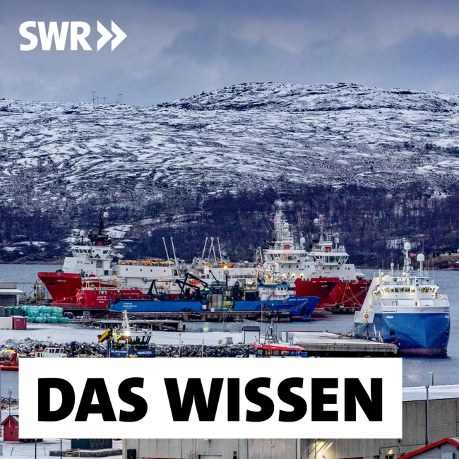 Abkürzung Arktis – Neue Schifffahrtsrouten durch den Klimawandel?