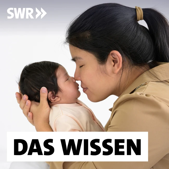 Die lernende Nase – Wie Gerüche unser Leben prägen