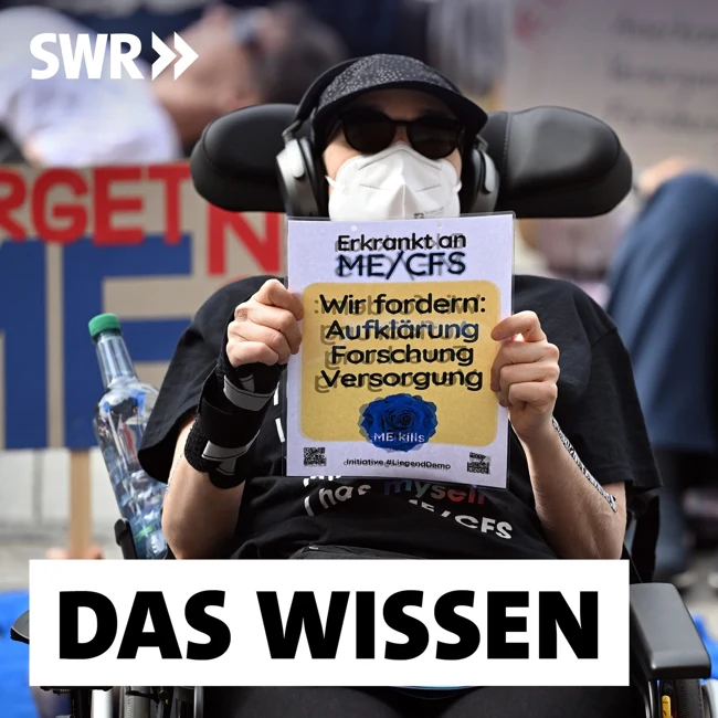 Die teure Epidemie – Wie Long COVID und ME/CFS die Gesellschaft belasten