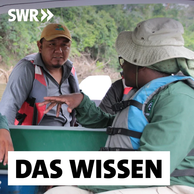 Guyana – Wie ein Naturparadies mit dem Ölboom umgeht