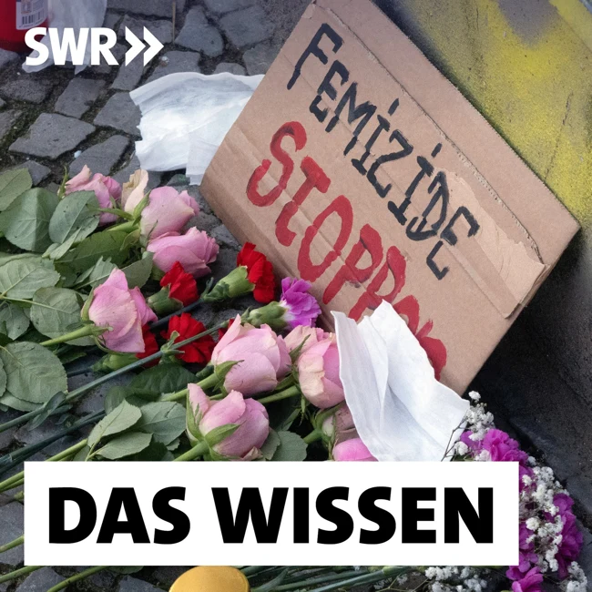 Femizide verhindern ‒ Männergewalt frühzeitig erkennen und stoppen