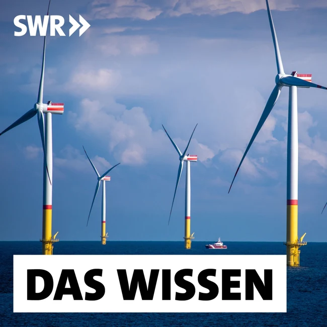 Offshore-Windkraft – Was den Ausbau so schwierig macht