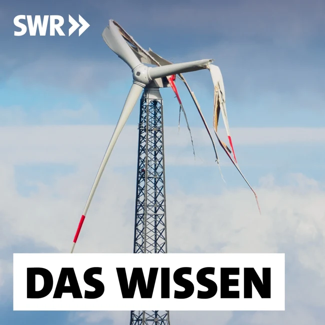 Müllproblem Energiewende – Wenig Recycling, verlorene Rohstoffe