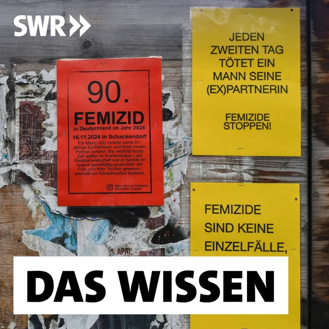 Femizide in Deutschland – Die bislang größte Untersuchung