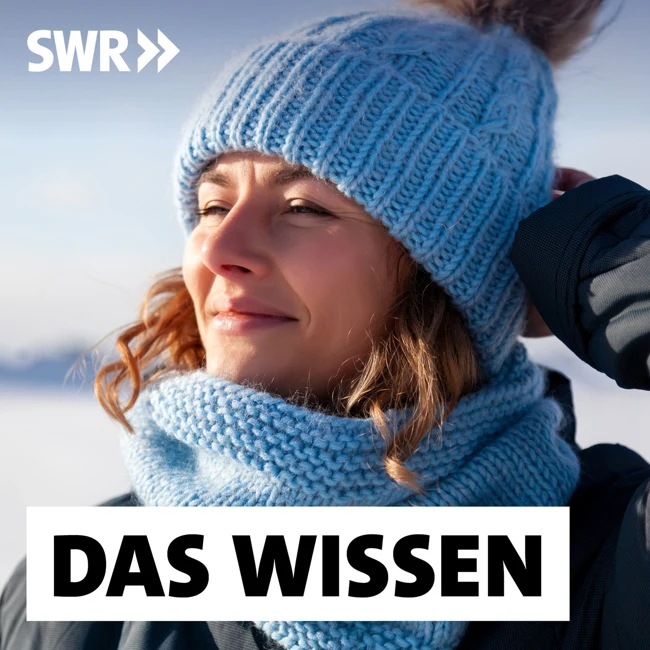 Wie uns Licht beeinflusst – Gesundheit, Wohlbefinden, Produktivität