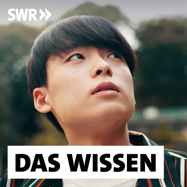 Japans erfolgreicher Kampf gegen den Suizid