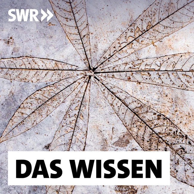 Beton neu denken – Wie wird der Baustoff nachhaltig?