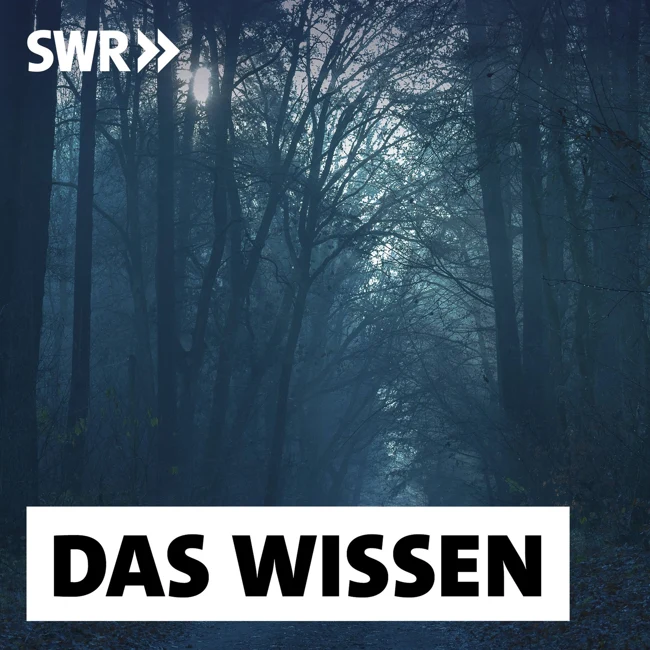 Die Kraft der Dunkelheit – Angst, Ruhe, Erkenntnis