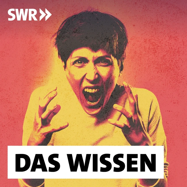 Wenn Frauen zuschlagen – Wege aus der Gewalt