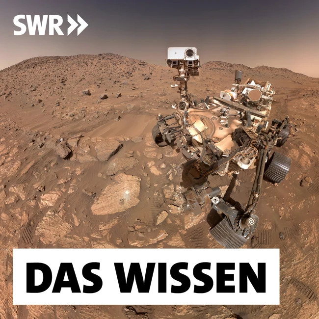Wissenschaft 2025 – Ein Jahresrückblick