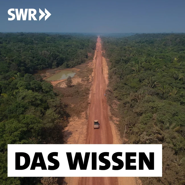 Schnellstraße durch den Regenwald – Lulas Projekt spaltet Brasilien