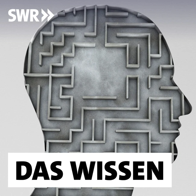 Was ist gute Psychotherapie?