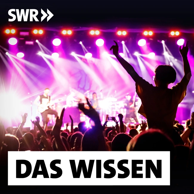 Live-Musik – Warum Konzerte unersetzlich bleiben