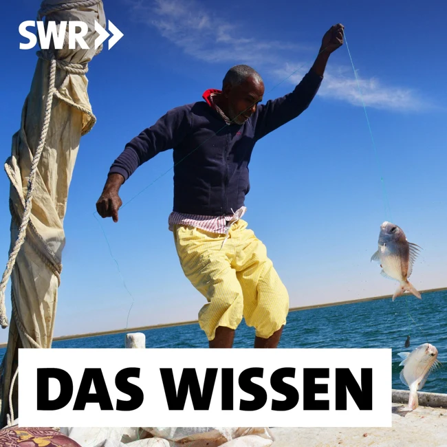 Mauretanien – Wie sich Naturschutz und Fischerei auf Migration auswirken