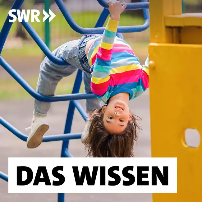 Abenteuer Spielplatz – Was Kinder brauchen und Erwachsene verhindern