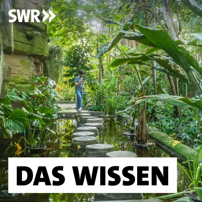 Botanische Gärten – Vom kolonialen Erbe zur modernen Klimaforschung