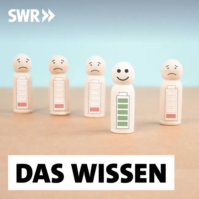 Mentale Gesundheit am Arbeitsplatz – Was Unternehmen tun können