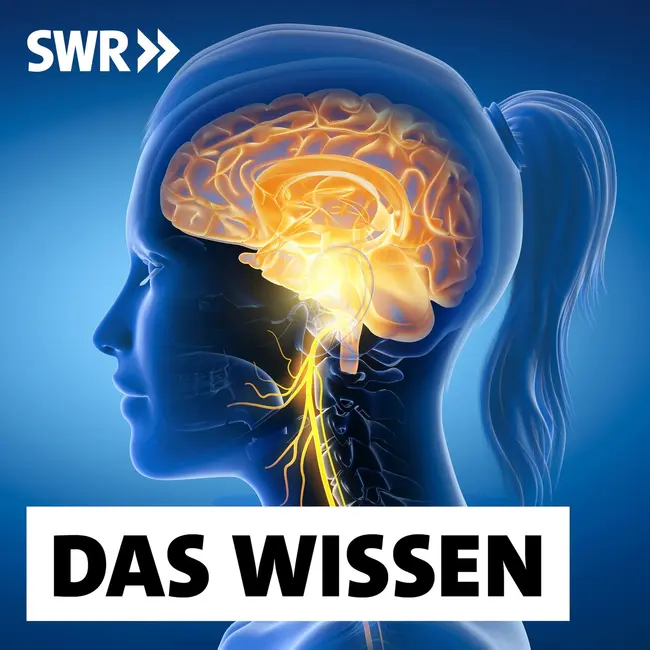 Hype um den Vagusnerv – Durch Stimulation zu mehr Gelassenheit?