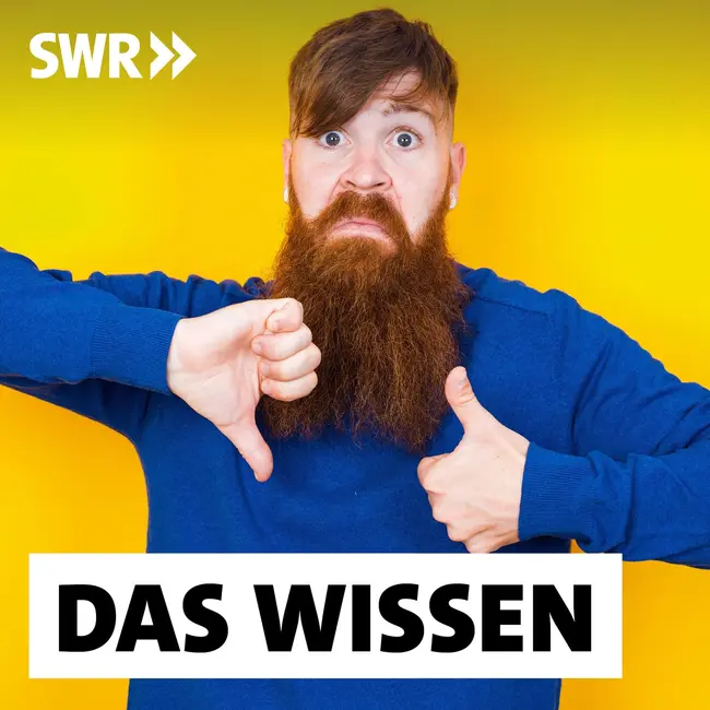 "So nicht!" – Wie Feedback konstruktiv gelingt