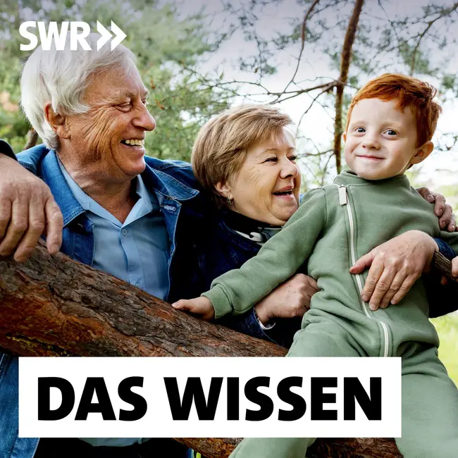 Großeltern und Enkel – Wie beide von einer engen Beziehung profitieren