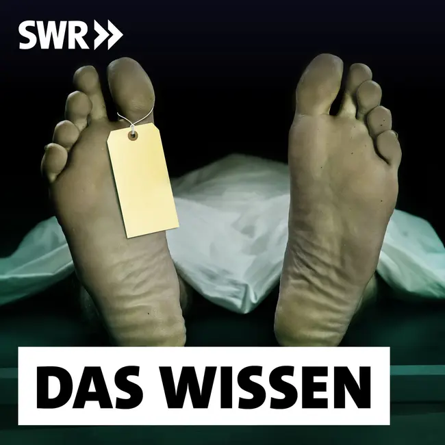 Mangelhafte Leichenschau – Wie mehr Morde erkannt werden könnten