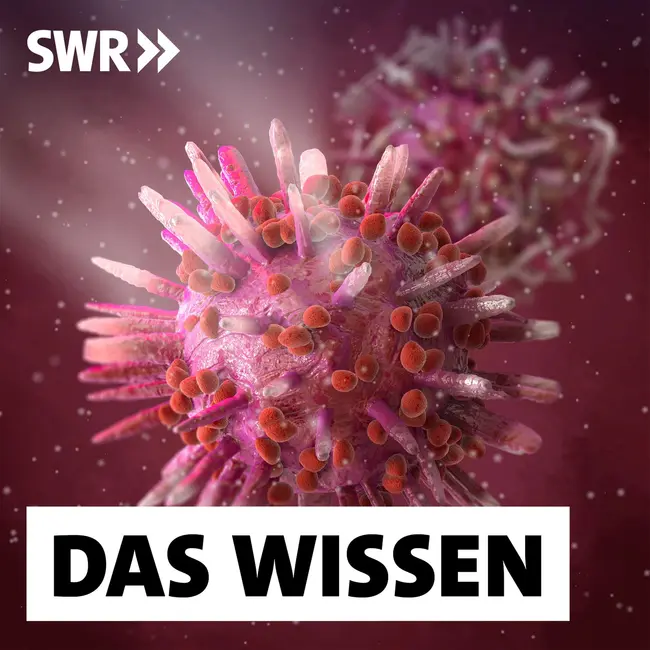 Herpesviren – Akute Infektionen und ihre möglichen Spätfolgen
