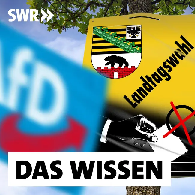 Warum so viele Ostdeutsche rechts wählen