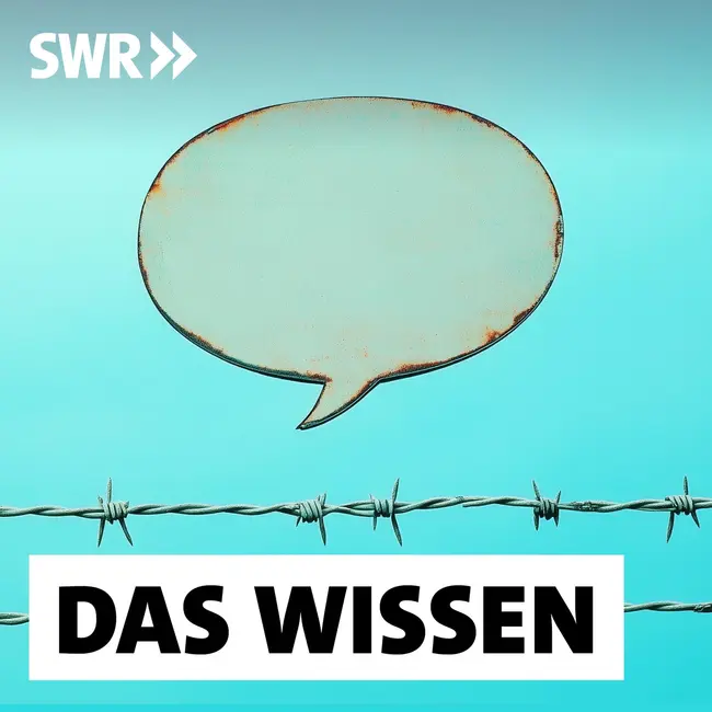 Versteckte Botschaften auf Social Media – Was hinter Algospeak steckt