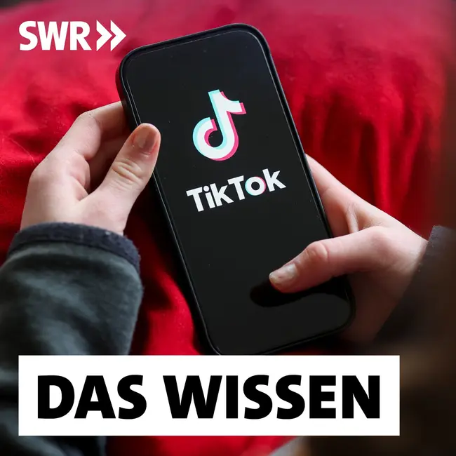 Jugendschutz im TikTok-Zeitalter – Warum Social-Media-Verbote nicht ausreichen