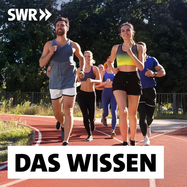 Richtig Laufen – Wie der Ausdauersport Körper und Psyche stärk