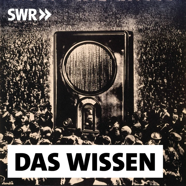 Der Rundfunk 1933 – Vom Massenmedium zum NS-Propagandainstrument