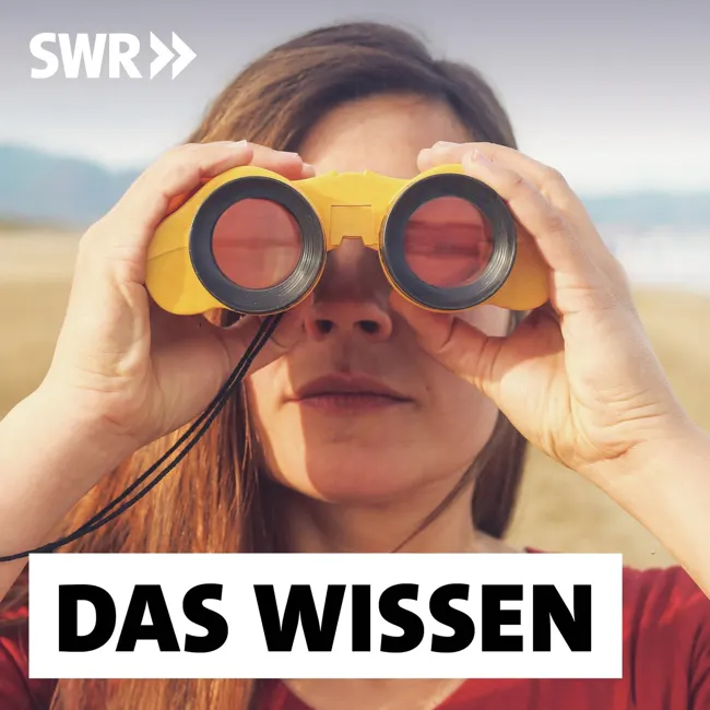 Eure Meinung: Was wünscht ihr euch von Das Wissen?