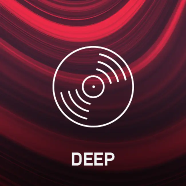 Record Deep #342 (19-01-2025)