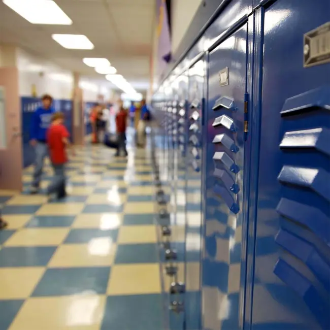 449: Middle School