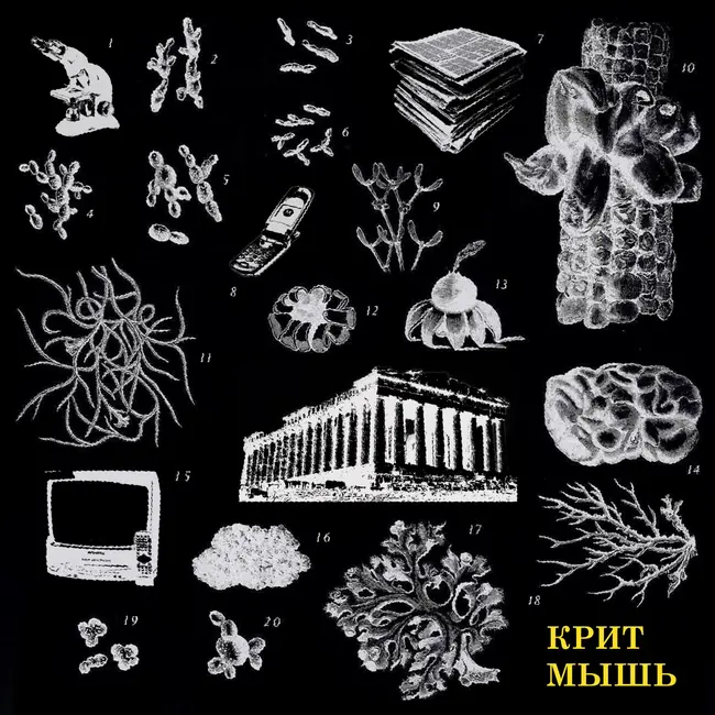 Анонс новой КритМыши