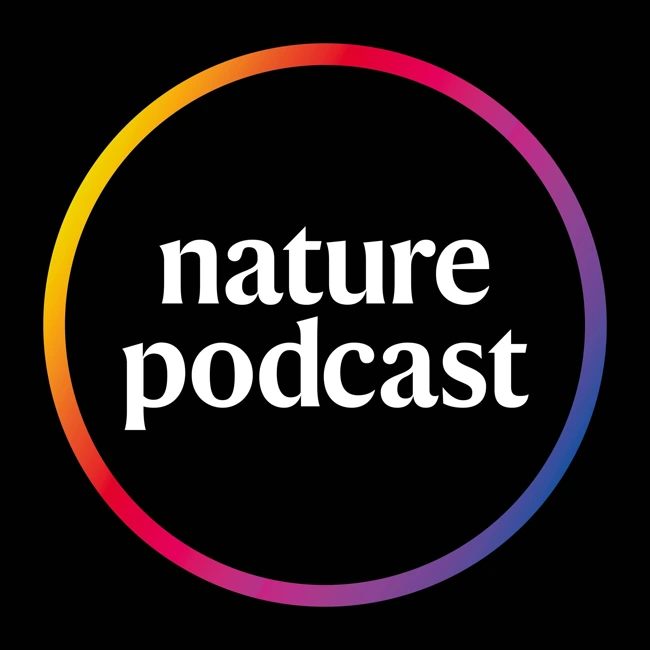 Behind the scenes of Nature News and Views in 2024