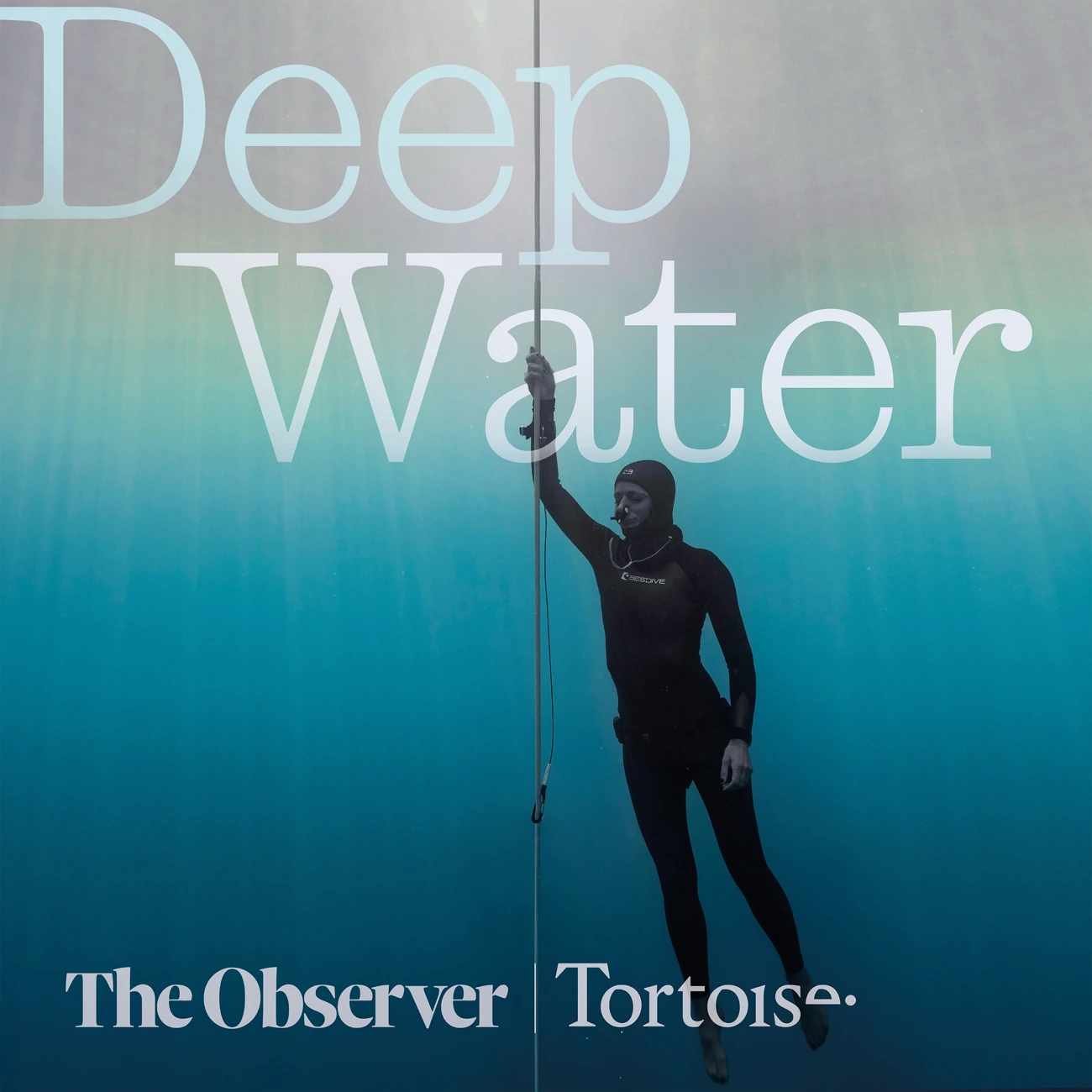 Deep Water | Tortoise Investigates