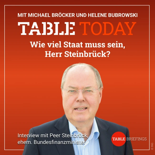 Wie viel Staat muss sein, Herr Steinbrück?