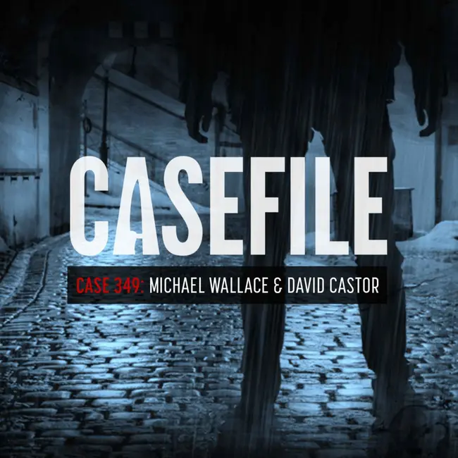 Case 349: Michael Wallace & David Castor