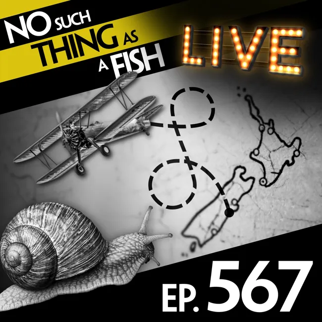 567: No Such Thing As A Honey Badger On Toast