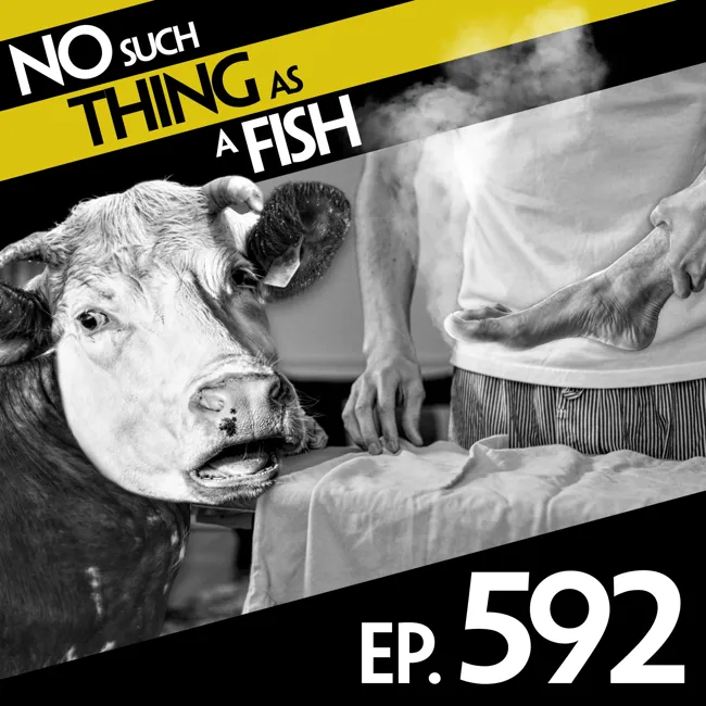 592: No Such Thing As A Cat In A Muumuu