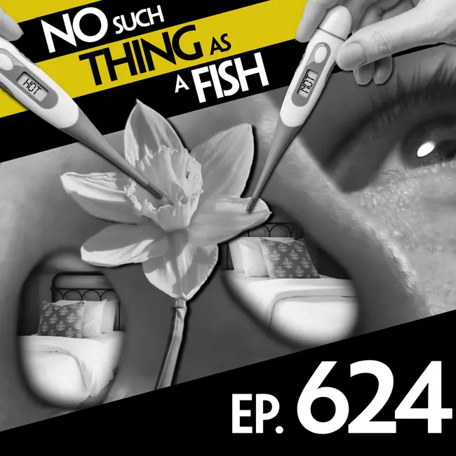 No Such Thing As A Hedgehog In A Lifeboat