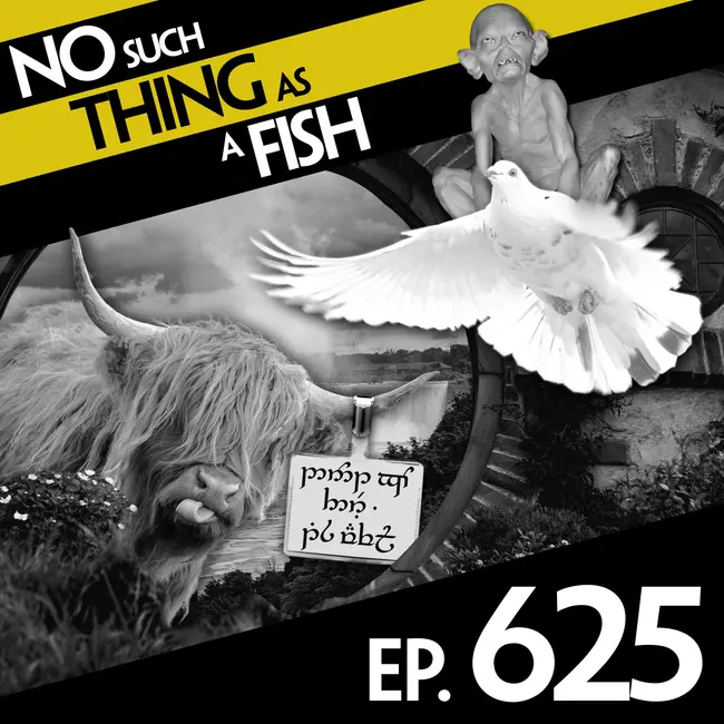 No Such Thing As Billions Of Checkers Boards