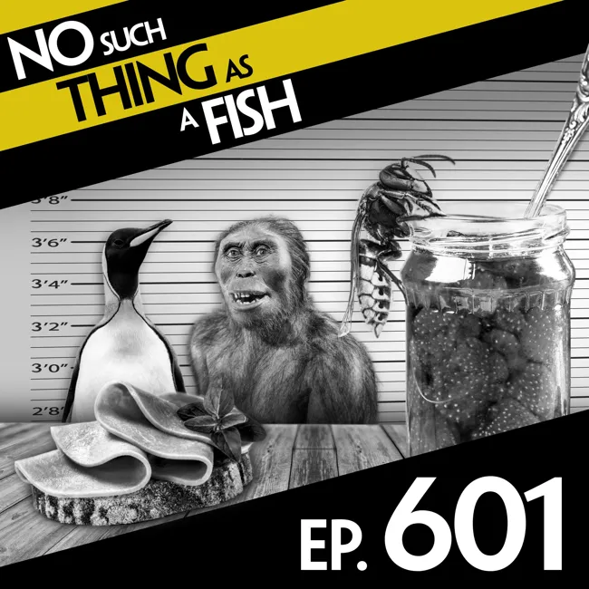 601:  No Such Thing As Sausage By Chanel