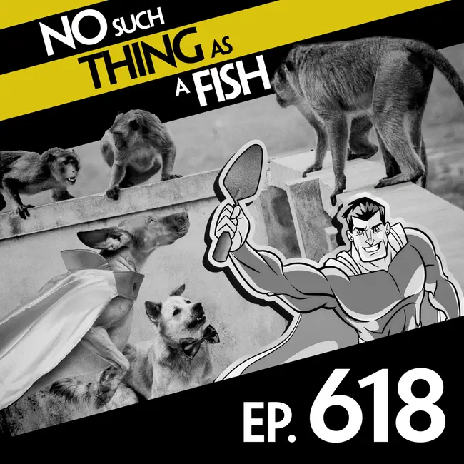 No Such Thing As Captain Crossword