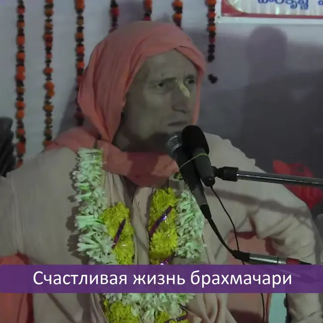 Счастливая жизнь брахмачари